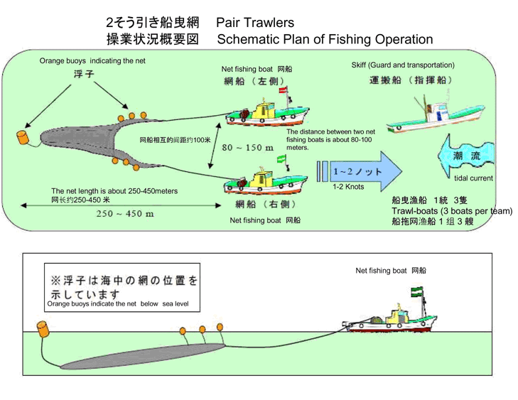 fishing method -Pair Trawlers, Fishing Operation